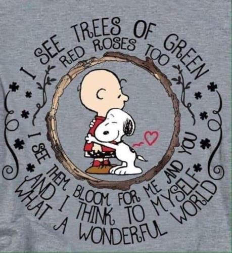 FB_IMG_1722402753946