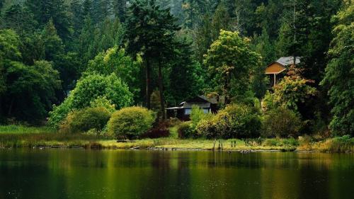 Deep Forest Lake Cabins