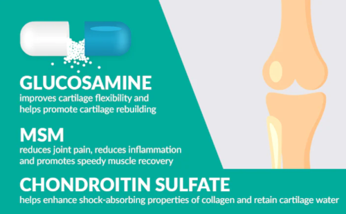Glucosamine Chondroitin MSM benefits uses