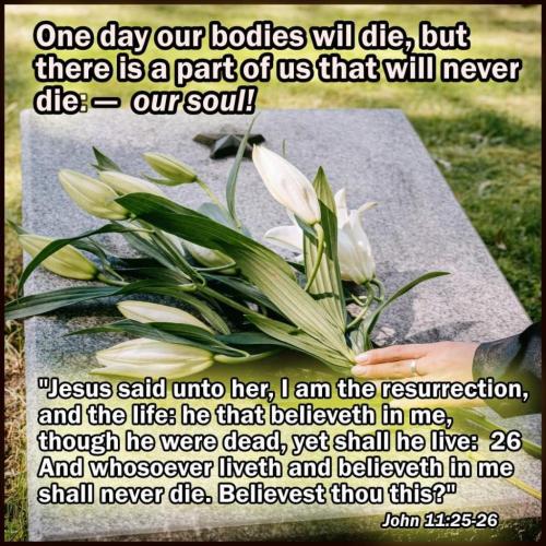 2fd56afc-7193-4f72-b55c-79bf0443d018