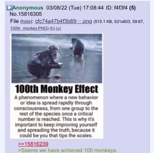 IMG_20240723_200349_536