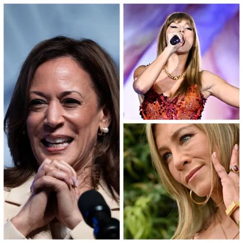 KAMI HARRIS CAT LADY