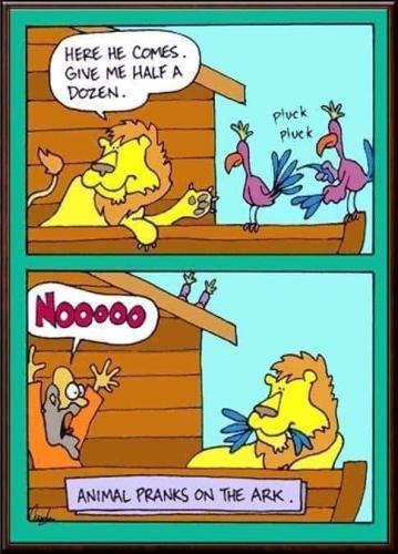 449685941_865275018956153_6757686423938441971_n