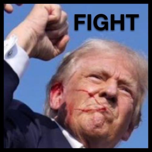 xephula_2b91b8f6c5c3cf124644727d7a8ce804