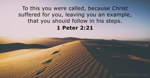1 Peter 2_21