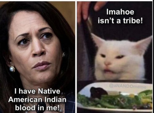 Screenshot 2024-07-23 074826