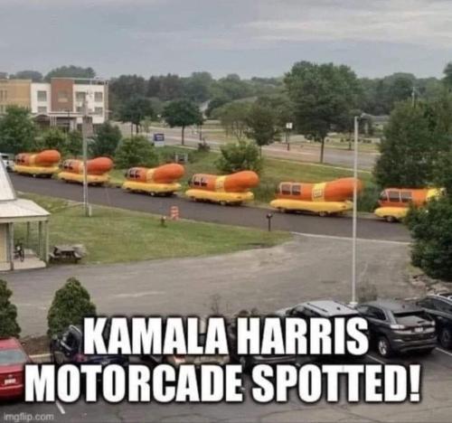 Screenshot_20240722-061647_Wimkin Free Speech Social Media