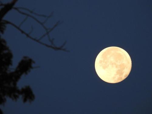 302743b2-e387-41fd-80b0-f35a048f9928