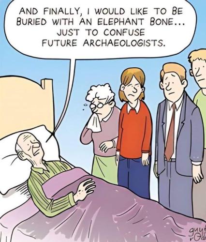 image_445673C2-5F90-4F71-BC3F-C79B2B2DAD43