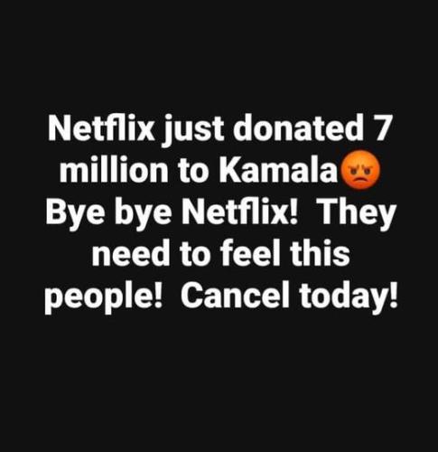netflix donated to kamala