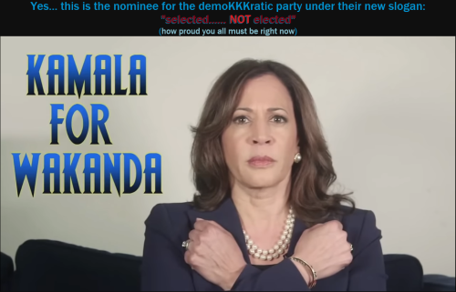 dnc kumala campaign ad 2024