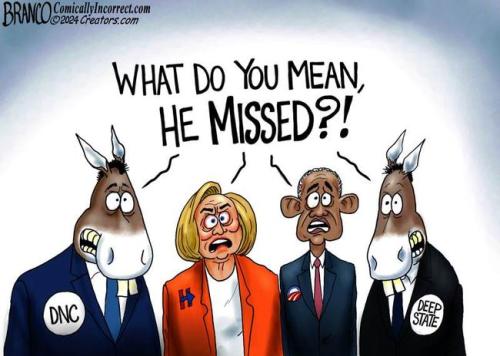Dem deep state miss