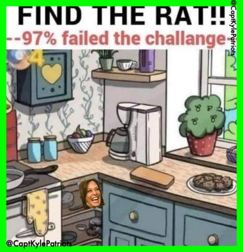 IMG_20240724_141147_449