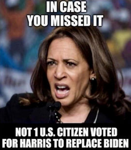 kamala harris313