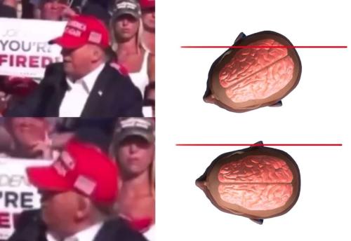 FB_IMG_1720994316217