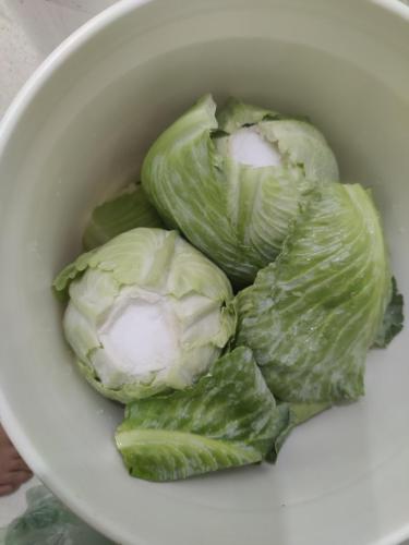 4ac341c8-578b-4e01-adf8-26c20a183494