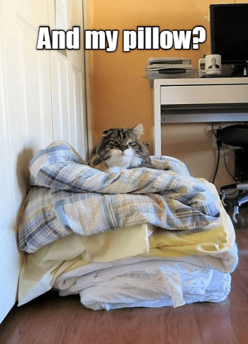and-my-pillow