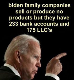 biden crime family22