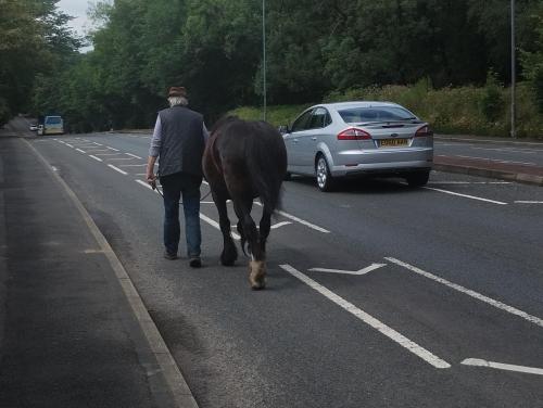 IMG_20240716_123413690