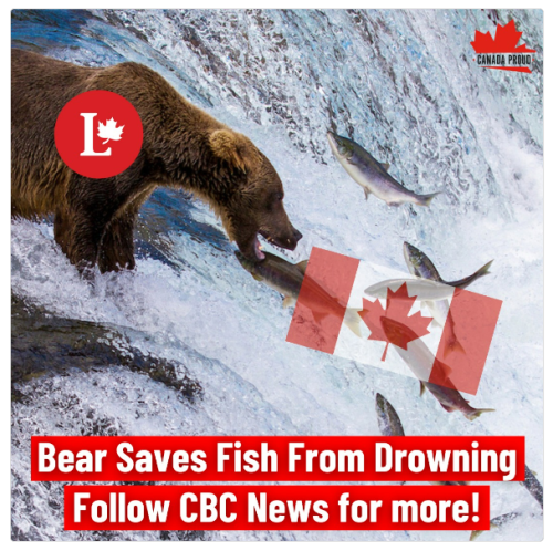 CBC news break