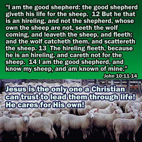 c5c0de03-46ac-4f07-af73-cfae9c383201