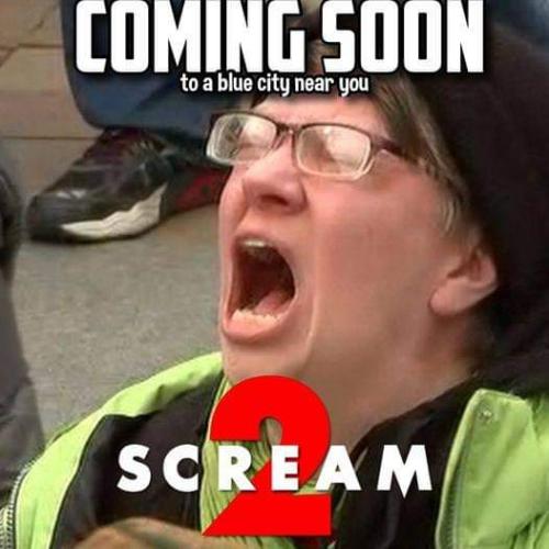 FB_IMG_1722172511171