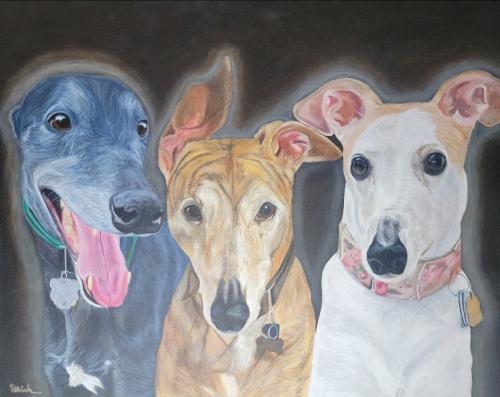 Screenshot_20230820_091304_Photos