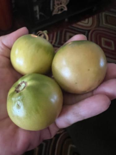 1A47A32D-AE92-4C66-9159-3D986EBD9805