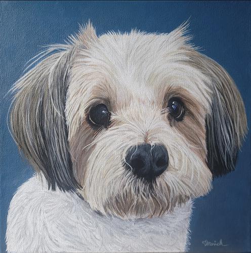 Screenshot_20230818_074743