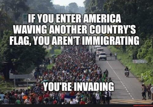 IMG_20240717_104431_145