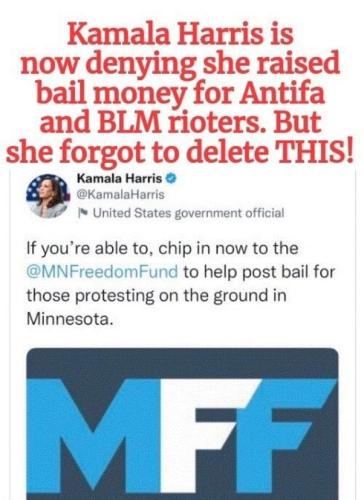 kamala harris blm fund