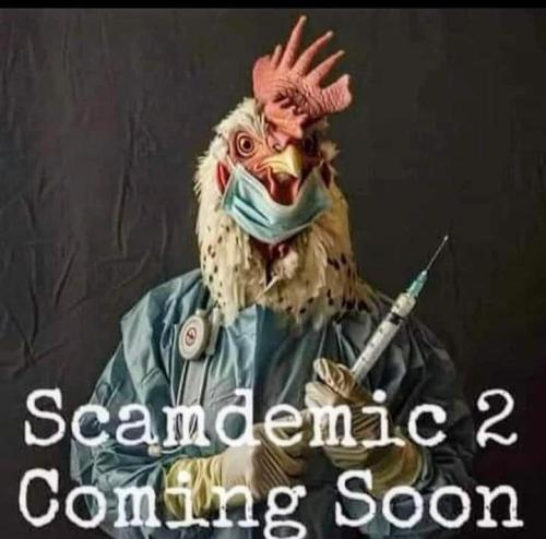 IMG_20240725_104318_250