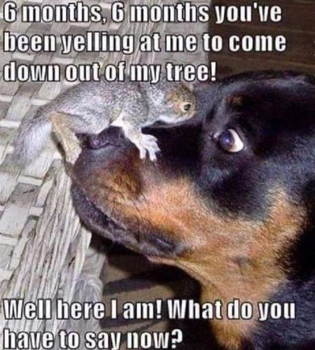 451003005_8481416671888569_5254805237928655475_n