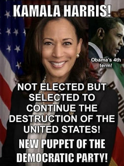 kamala harris315