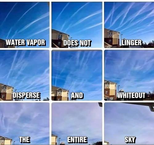 entire sky