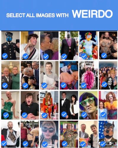 image_762F8F9E-4F8A-4E84-89D5-832857F05F4D