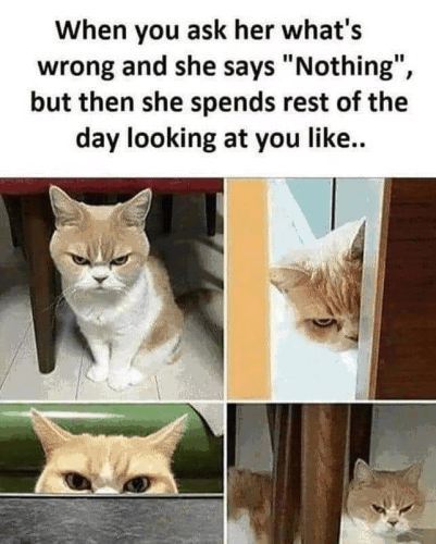 ask-her-s-wrong-and-she-says-nothing-but-then-she-spends-rest-day-looking-at-like