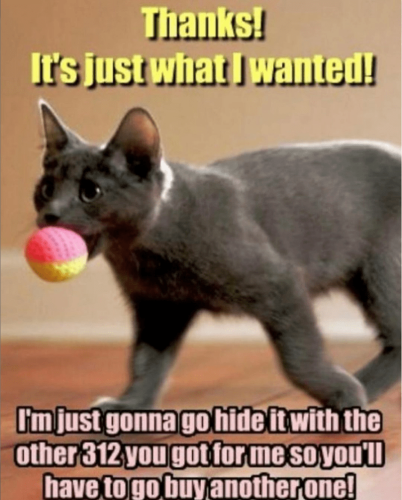 thanks-s-just-wanted-just-gonna-go-hide-with-other-312-got-so-have-go-buy-another-one