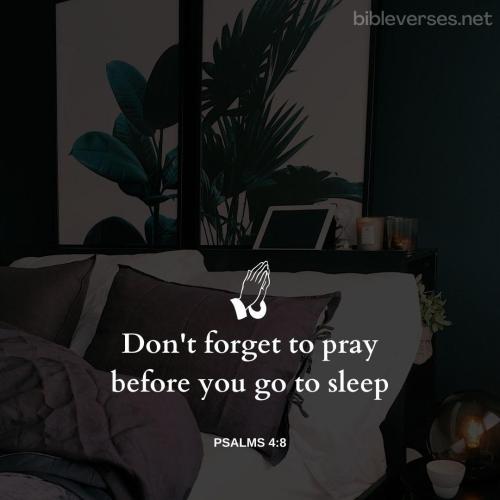 psalms-4-8