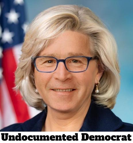 Bush in the Woodpile Undocumented Democrat.960px