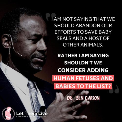 ben carson ff