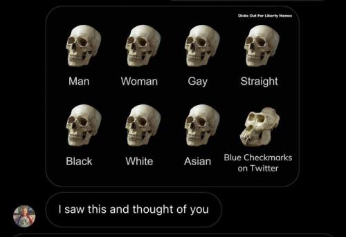 GR6XZS4bwAAlng0