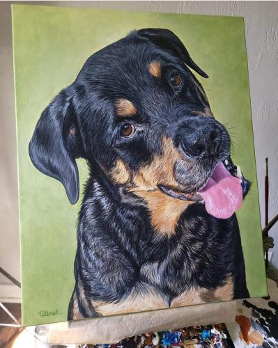 Screenshot_20240419_123003_Facebook