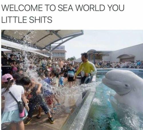 image_293A56A7-C0F3-44DE-AE40-DDF9F7982240