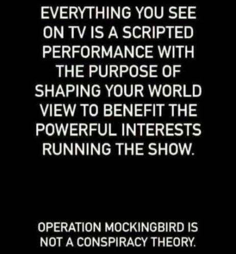 tv and mockingbird