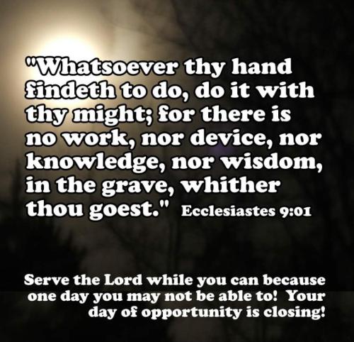 954f0289-2e74-45bf-94c4-d218445ebeef