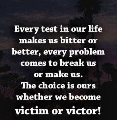 bb4446c5-1d31-4e62-9852-97e52ef99c0b