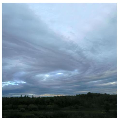 f1ec91a5-f620-49ab-ada8-08e7137f7680