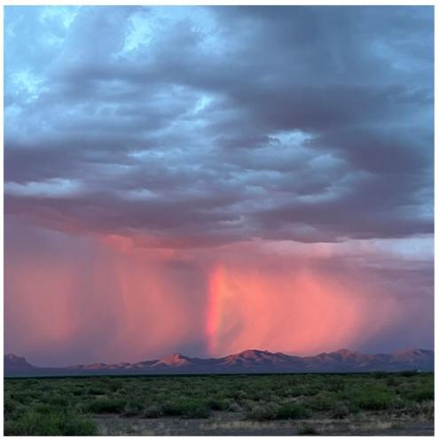 5a2e215d-6521-4e33-ad48-a3719dee56c7