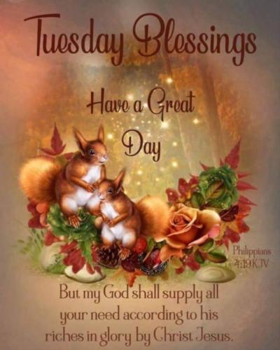 451072657_1539412100326546_6359541679321542962_n